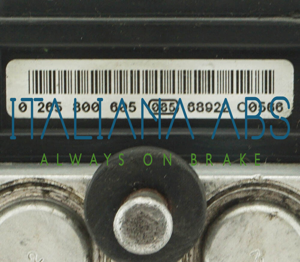 Centralina ABS IVECO, codici identificativi: 0265231891 504182307 0265800605