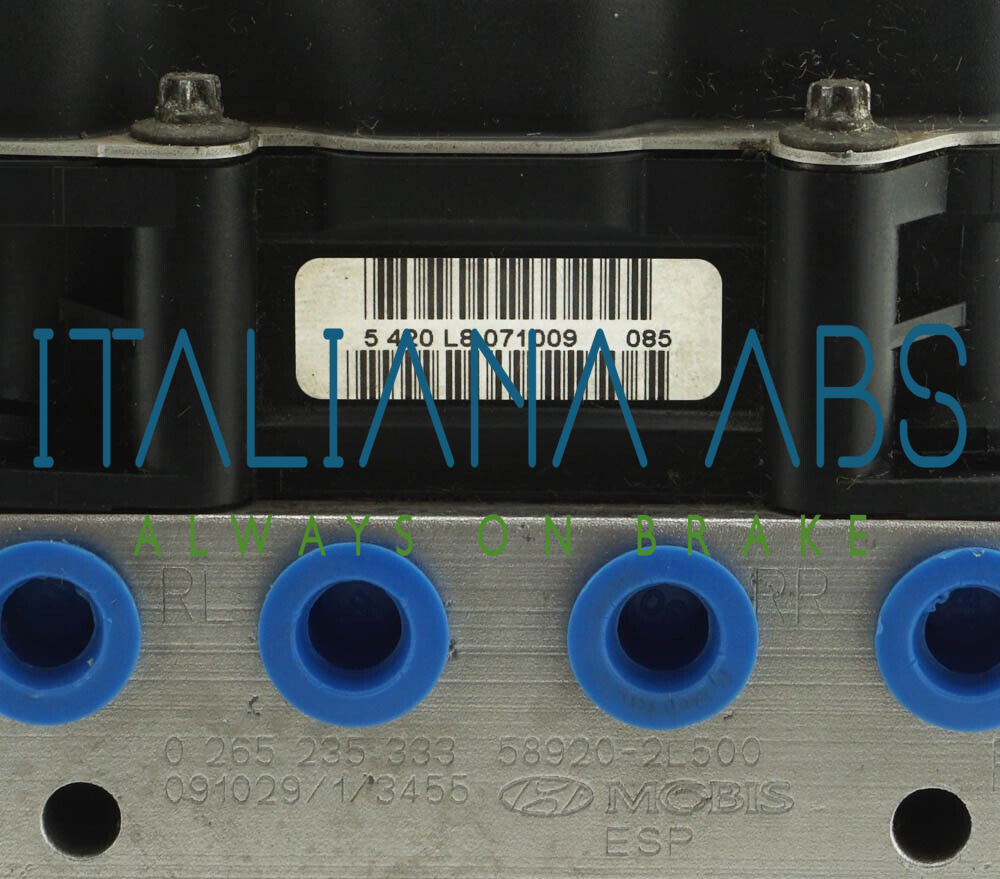 Centralina ABS HYUNDAI, codici identificativi: 0265950695 0265235333 589202L500