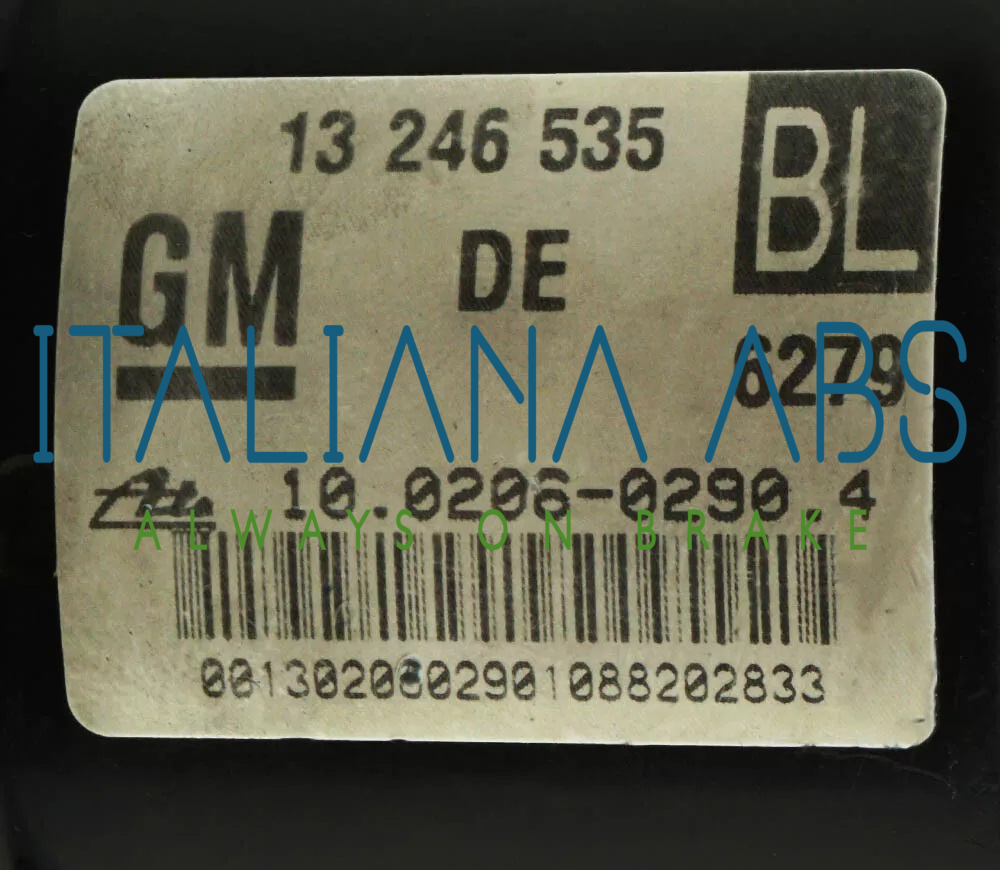 Centralina ABS OPEL, codici identificativi: 13246535 BL 10020602904 10096005543