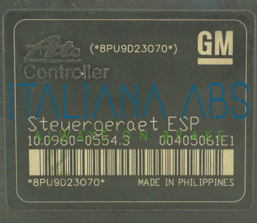 Centralina ABS OPEL, codici identificativi: 13246535 BL 10020602904 10096005543