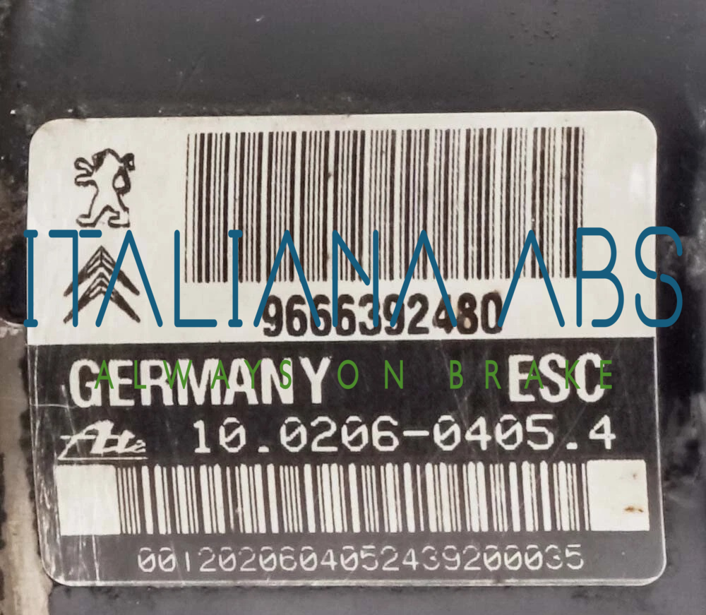 Centralina ABS CITROEN, codici identificativi: 9666392480 10020604054 10096039103
