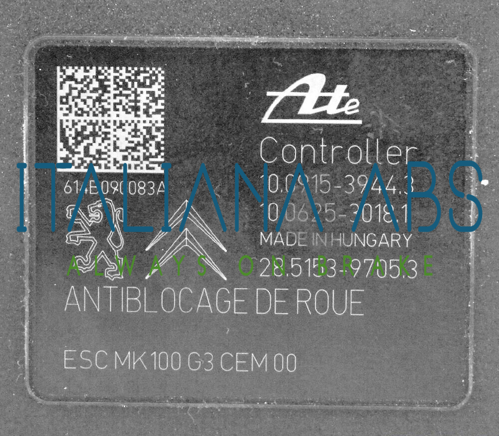Centralina ABS CITROEN, codici identificativi: 9813805280 10022005804 10091539443