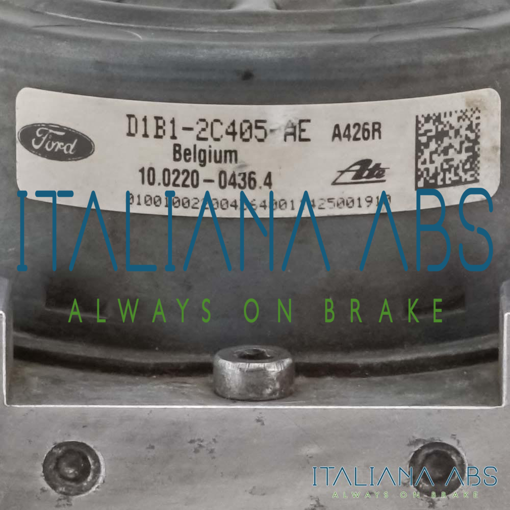 Centralina ABS FORD, codici identificativi: D1B12C405AE D1B12C013BC 10091501083