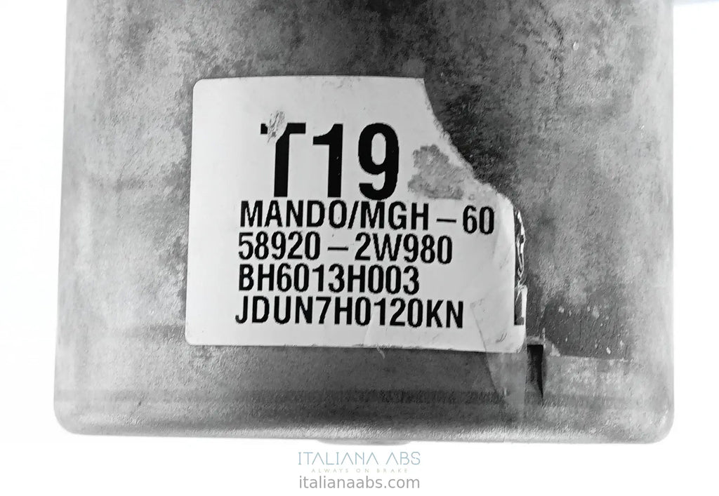 HYUNDAI BH6013H003 589202W980 BE6003H002 - foto 3
